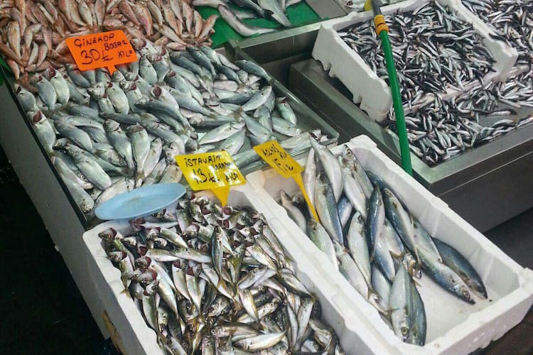 mis balik izgara baglarbasi maltepe istanbul